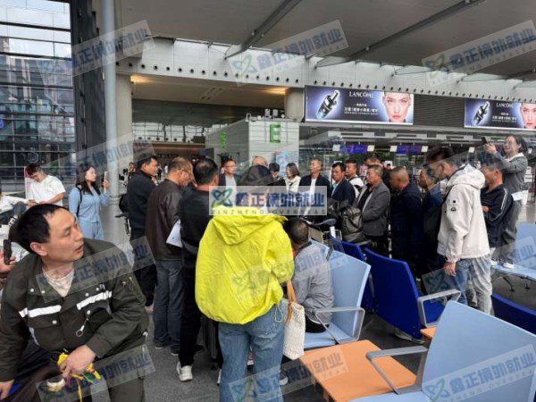 鑫正迪拜项目上海顺利出境