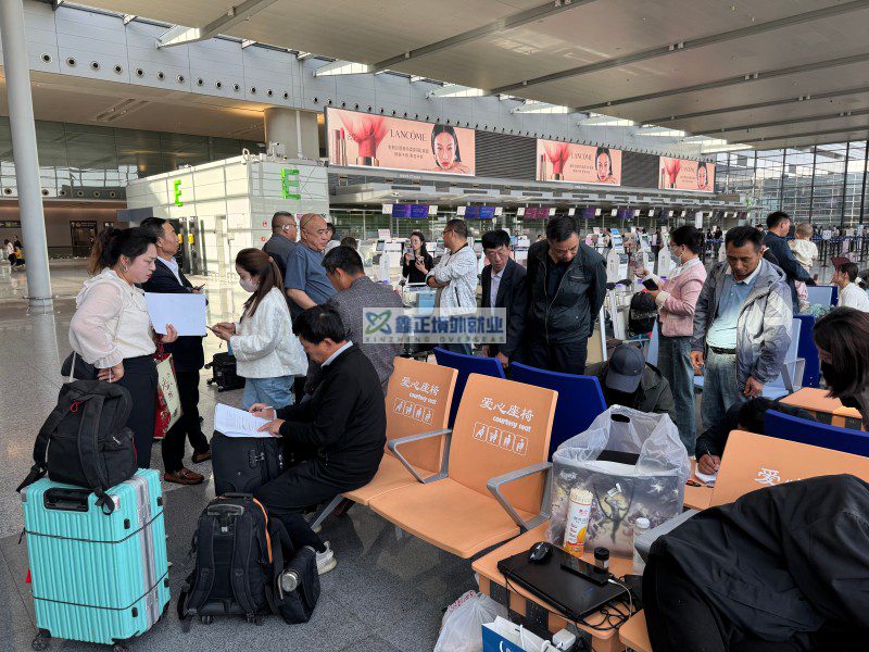 鑫正迪拜第二批上海顺利出发