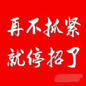 安哥拉埃及砌墙抹灰贴砖细木工，外油工
