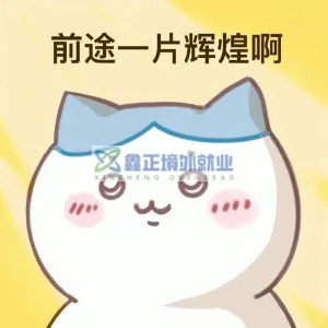 前途一片完犊紫啊表情包相关表情包,表情包专辑 - 求表情网,斗图从此不求人!