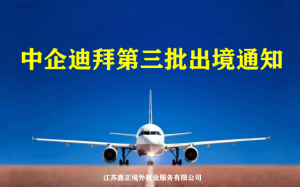 中企迪拜项目第三批出境通知