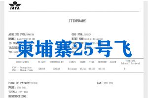 2025鑫正柬埔寨合作项目装修木工录取人员本月25号飞
