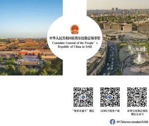 启用中国签证在线办理的通知