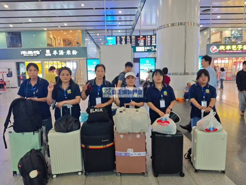 鑫正日本项目顺利出发