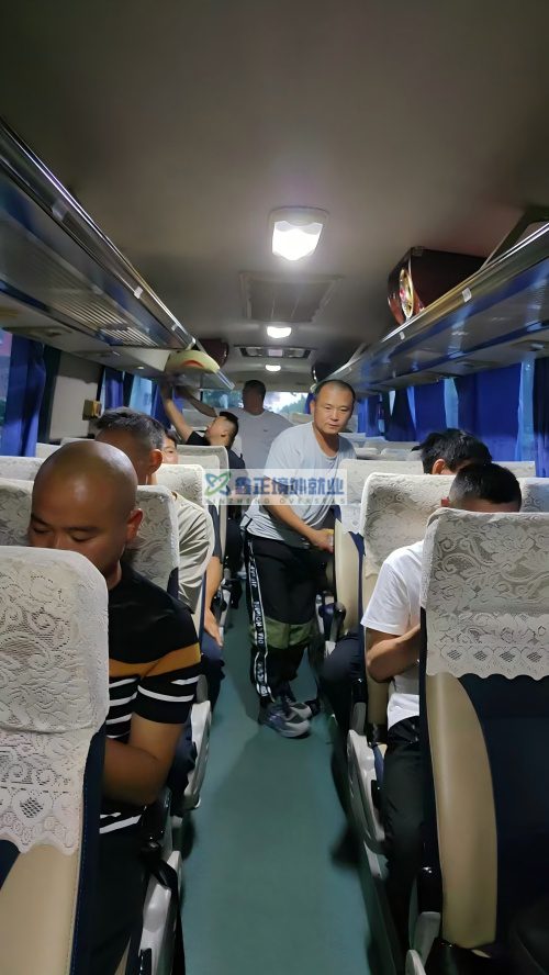 鑫正以色列山东高速今日出发