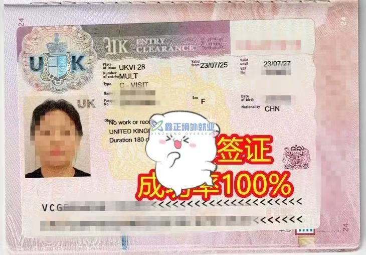 鑫正爱尔兰签证出几枚