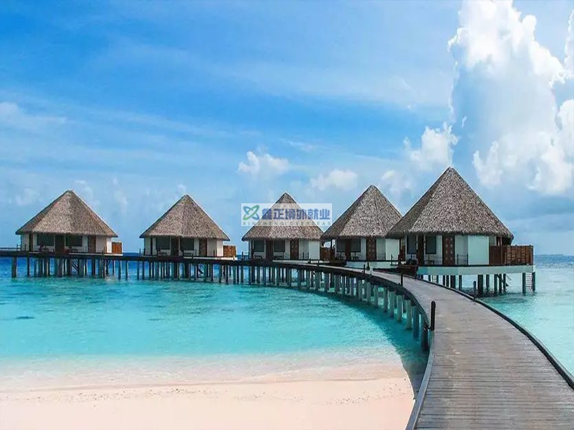 厉害了我的中国护照！| 2026 免签国最强汇总