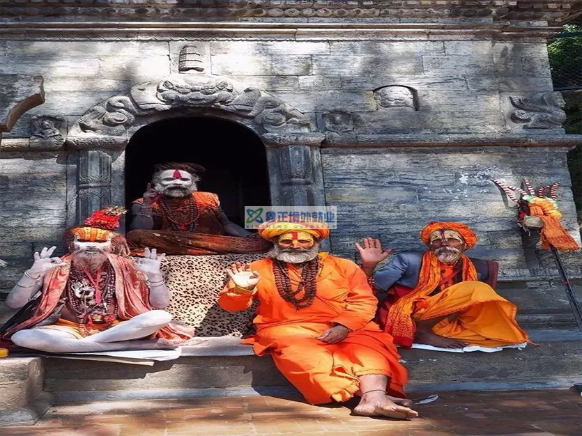 厉害了我的中国护照！| 2026 免签国最强汇总