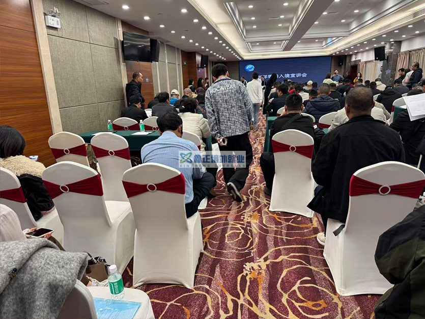 江苏鑫正2026.1.25香港培训现场