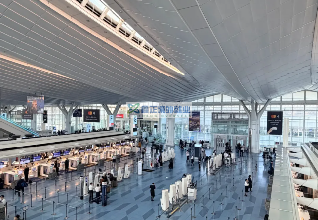 日本入境新规：这些常见药竟是违禁品？少填一张表多卡1小时！