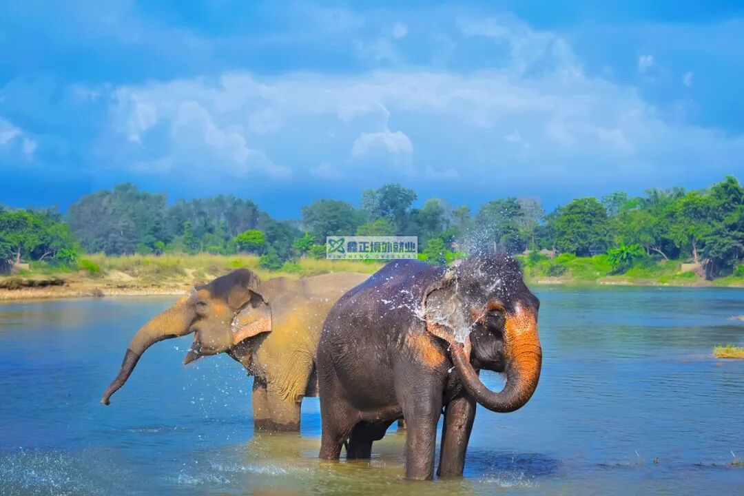 中国大陆普通护照可免签或落地签的90个国家与地区