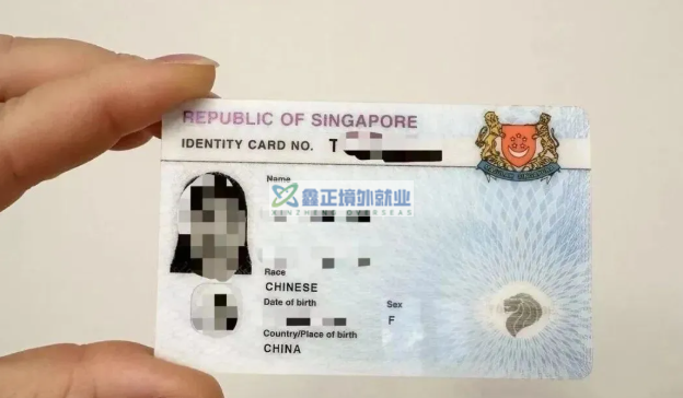中国护照换新了，新加坡准证还有效吗？2026最新版攻略拿好不谢