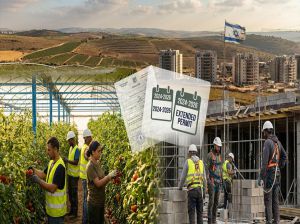 签证已过期、老板未挂人力，现在还能补救吗？